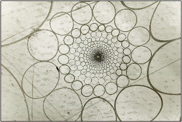 Espiral de cercles