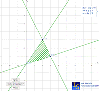 Programació lineal